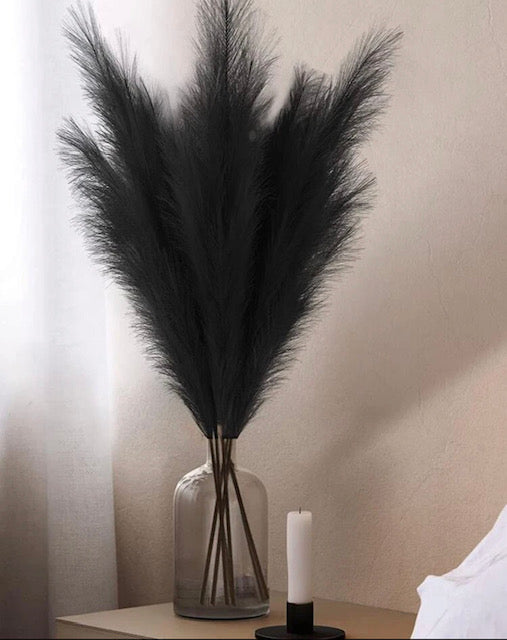 Black Pampas Grass image 0